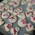 El cooksnap de silvia lara cuando hizo Galletitas Navideñas.
