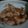 Cooksnap dari Virly Aprilliani untuk resep Stim udang simpel