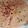 Dalaja's cooksnap of when they made Aloo Paratha.