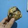 Cooksnap dari Nada Thifali untuk resep Soft Baked Cookies