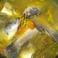 Cooksnap dari Arief Wibowo untuk resep Pindang Serani Kakap Putih