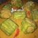 Cooksnap dari Saturday.april_14 untuk resep Kambu Paria khas Bugis