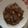 El cooksnap de Txema Marbel cuando hizo Carne de ternera en salsa.