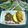 Cooksnap dari Novie Vie untuk resep Nasi Kuning Khas Banjar