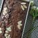 Cooksnap dari Yulia Shanti untuk resep Brownies panggang