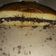Cooksnap dari Nining Satriya untuk resep Martabak teflon