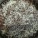 Cooksnap dari Deppy Cihuyy untuk resep Bolu chocolatos lembut