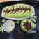 Cooksnap dari Aliya Raisa untuk resep Bolu Kukus Lembut Menul Anti Bantet