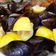 El cooksnap de Marieta cuando hizo Mejillones al vapor.