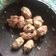 Cooksnap dari Lailatul Qomariyah untuk resep Tempe Mendol (Resep si Mbah)