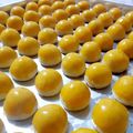 Cooksnap dari DonaQu untuk resep Nastar klasik fatmah bahalwan, 1x poles kinclong