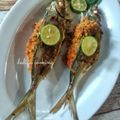 Cooksnap Dedifa.Cooking semasa beliau membuat Ikan Cencaru Bakar Sumbat Sambal Kelapa.