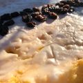 El cooksnap de Mía cuando hizo Impresionante bizcochuelo con harina de arroz y almidón de maíz. SIN GLUTEN, SIN LACTOSA y SIN HORNO.