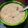 MARIA GILDA MOL's cooksnap of when they made ஜவ்வரிசி சேமியா பாயாசம்🌱(javvarisi semiya payasam recipe in Tamil).