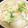 Joyce 的 蛋香蝦皮香菇大白菜 cooksnap