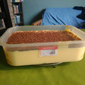 El cooksnap de Kari cuando hizo Tiramisú de limón casero.