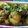 Runu Chowdhury's cooksnap of when they made আলুর দম(aloor dum recipe in Bengali).