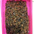 Cooksnap dari Angel Cuwarsyah untuk resep Nasi kucing sambal roa