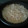 El cooksnap de Pilar Fernandez Maldonado cuando hizo Espaguetis con salsa carbonara.