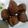 Cooksnap dari KasMira untuk resep Godok pisang keju hmmm enak