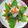 Hui Xin Lin 的 金針扒芥菜 cooksnap