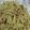 Umme Yousuf's cooksnap of when they made Keema Masoor Biryiani.