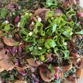 صورة من سوزان شوقي 💖💟، شاركها بعد تجربة وصفة سبانخ بالفطر 😋🍄
