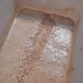 Cooksnap dari Evoleht river wardhana untuk resep Es krim susu UHT