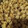 mitu madlani's cooksnap of when they made પોપ કોર્ન (Popcorn Recipe In Gujarati).