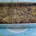 Cooksnap dari Revy Zeviana Arsyi untuk resep Brownies Panggang