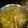 Leondejage's cooksnap of when they made Grandma's Homemade Chicken Noodle Soup.