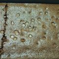 sallykm777's cooksnap of when they made Brownies.