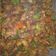 Cooksnap dari Dewi Andrian untuk resep Nasi TO (Tutug Oncom)