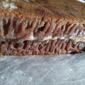 Cooksnap dari Dapur Ungek untuk resep Martabak manis/Terang bulan teflon