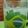 El cooksnap de Karina Arrigo cuando hizo Caipiriña (Caipirinha).