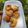 Cooksnap dari Pujiadi Widodo untuk resep Udang Goreng Tepung