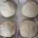 Cooksnap dari lisa.gouw untuk resep Bak pau asin