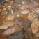 El cooksnap de Jonas Cobos cuando hizo Pollo guisado con setas (Rovellons).