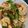 รูป Cooksnap ของ Eve Nevenave เมื่อเขาทำ กะเพรากุ้งหมูสับ