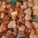 Cooksnap dari Yeyen Rustyanti untuk resep Kacang disco manis gurih