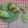 Cooksnap dari Nunuk untuk resep Bolu Pandan