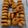 El cooksnap de Paloma cuando hizo Rosquillas de anís.