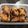 รูป Cooksnap ของ ninun sao เมื่อเขาทำ ขนมกล้วย (น้ำว้า) ไร้แป้งแบบไมโครเวฟ