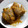 El cooksnap de mary9450 cuando hizo Manitas de cerdo en salsa.