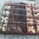 Cooksnap dari Eko Lilis untuk resep Brownies Sekat 20*20 Anti Giung + Tips Fudgy Shiny Crust