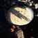 El cooksnap de pelado luis cuando hizo Arroz con pollo al disco.