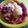 Cooksnap dari nurul huda untuk resep Salad Buah Yogurt Cimory