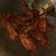Cooksnap dari Laila Nurila untuk resep Chiken Wings
