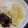 El cooksnap de florcastro cuando hizo Pechuga de pollo en salsa de frutos del bosque.
