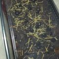Cooksnap dari Virda Amelia untuk resep Chewy Brownies